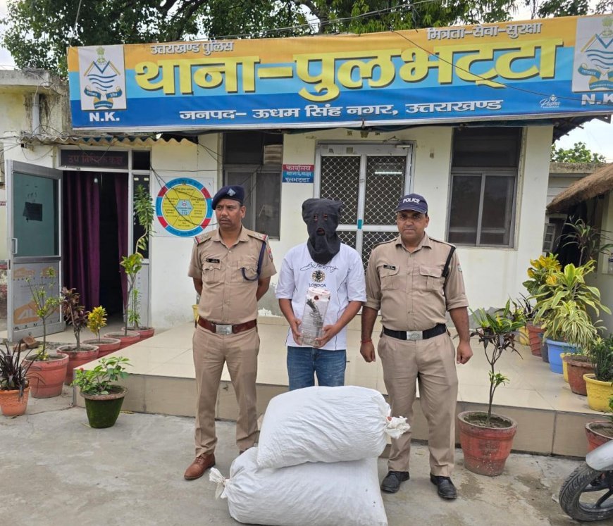 एस0ओ0टी0एफ0 कुमायूँ की बड़ी कार्यवाही — 16.560 किलो डोडा, एक देशी तमंचा व 10 जिंदा कारतूस के साथ अभियुक्त गिरफ्तार*