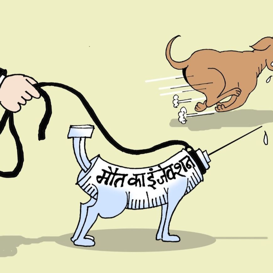 सुप्रीम कोर्ट बोला- खतरनाक कुत्तों को मौत का इंजेक्शन दें:लोगों की सुरक्षा जरूरी; जो अफसर निर्देश न माने, उस पर अवमानना का केस चले