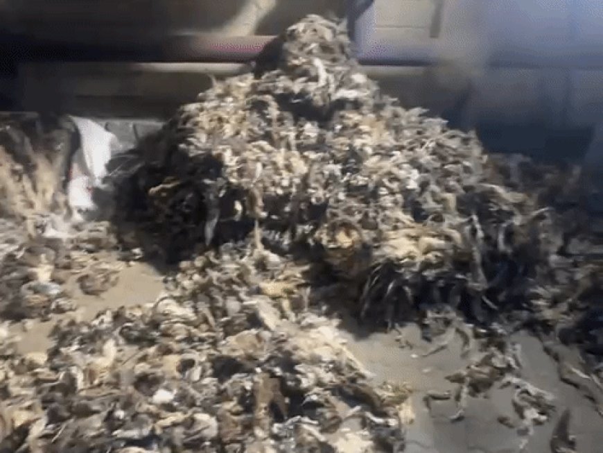 उत्तराखंड में तैयार हुआ ₹182 करोड़ का 'जिहादी ड्रग':50 हजार किराए के लिए सीरियाई नेटवर्क को सौंपी फैक्ट्री, पूरी प्लानिंग से चुना गया देहरादून