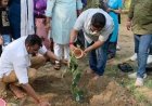 ‘एक पेड़ एक गौमाता’ अभियान शुरू:गौमाता और पर्यावरण संरक्षण को जोड़ने के लिए की पहल, महाराणा प्रताप जयंती तक चलेगा जनजागरण कार्यक्रम