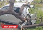 यूपी में आंधी-बारिश से पेड़-पोल उखड़े, कार पर गिरे:एमपी में बिजली, पंजाब में पेड़ गिरने से 2 मौतें, मानसून 48 घंटे में मुंबई पहुंचेगा