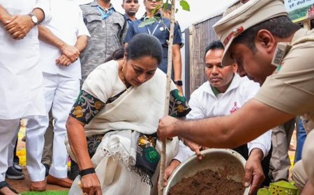 विश्व पर्यावरण दिवस पर दिल्ली सीएम ने किया पौधारोपण:18 नमो ऑक्सीजन पार्कों का लोकार्पण, बोलीं- प्रदूषण को लेकर गंभीर नहीं रही पूर्व सरकार