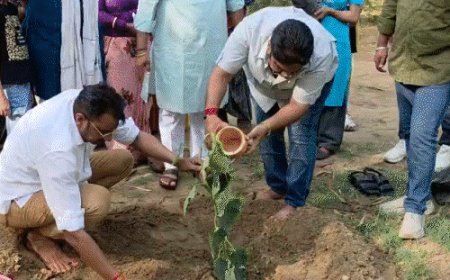 ‘एक पेड़ एक गौमाता’ अभियान शुरू:गौमाता और पर्यावरण संरक्षण को जोड़ने के लिए की पहल, महाराणा प्रताप जयंती तक चलेगा जनजागरण कार्यक्रम
