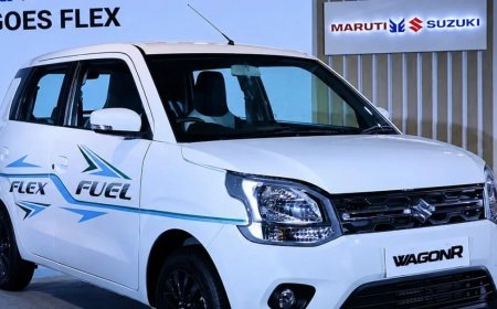 E20 पेट्रोल से E85 सस्ता होगा, जानिए Flex Fuel Maruti Wagon R आपके लिए कितनी फायदेमंद, क्या है कीमत