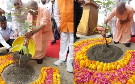 मुख्यमंत्री योगी ने अपने आवास पर लगाया 'एक पेड़ मां के नाम'