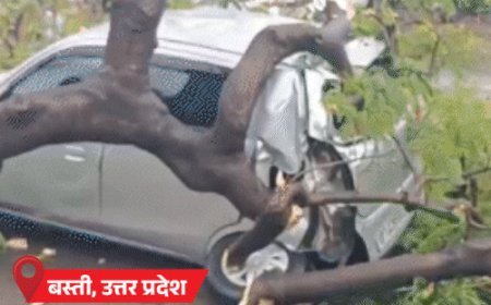यूपी में आंधी-बारिश से पेड़-पोल उखड़े, कार पर गिरे:एमपी में बिजली, पंजाब में पेड़ गिरने से 2 मौतें, मानसून 48 घंटे में मुंबई पहुंचेगा