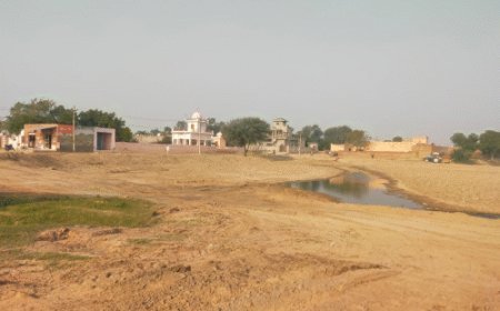 सिरसा DC ने सभी सरपंचों से मांगा तलाबों का रिकॉर्ड:अवैध कब्जों पर होगी कार्रवाई, सटीक जानकारी ने देने पर होगा एक्शन