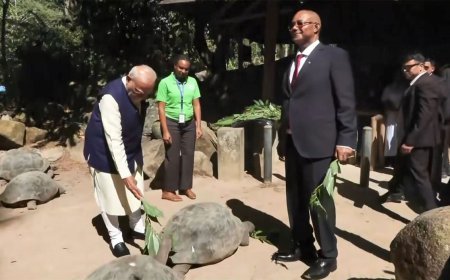 Seychelles दौरे पर PM Modi का खास अंदाज, 194 साल के कछुए Jonathan को अपने हाथों से खिलाया खाना