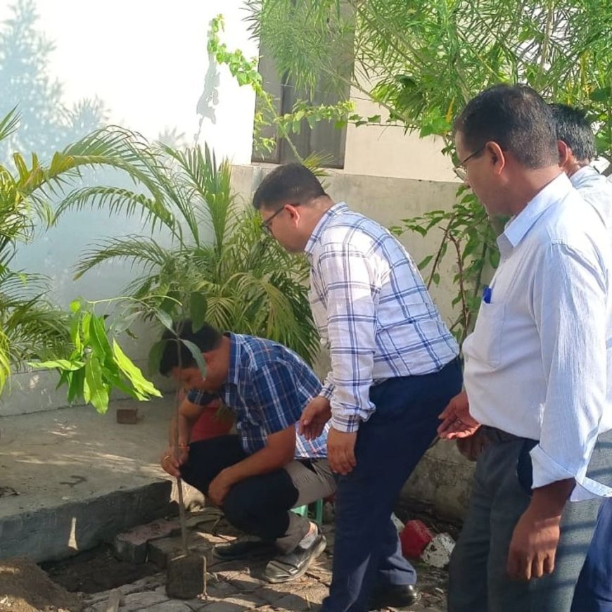 भातखण्डे विश्वविद्यालय में वृक्षारोपण कार्यक्रम:विश्व पर्यावरण दिवस पर शिक्षकों-कर्मचारियों ने लगाए पौधे