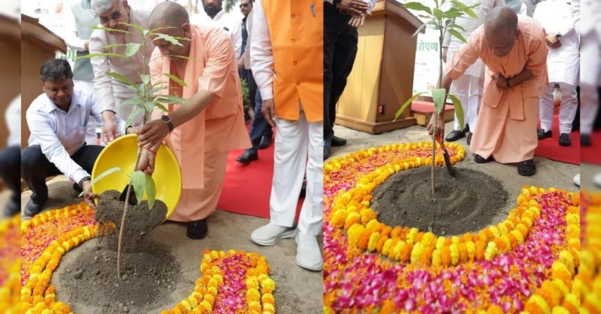 मुख्यमंत्री योगी ने अपने आवास पर लगाया 'एक पेड़ मां के नाम'