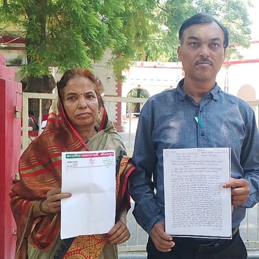 महिला मोर्चा की पूर्व अध्यक्ष का बिजली अधिकारियों पर आरोप:मिर्जापुर में एसडीओ-जेई पर रिश्वत मांगने और दुर्व्यवहार की शिकायत की