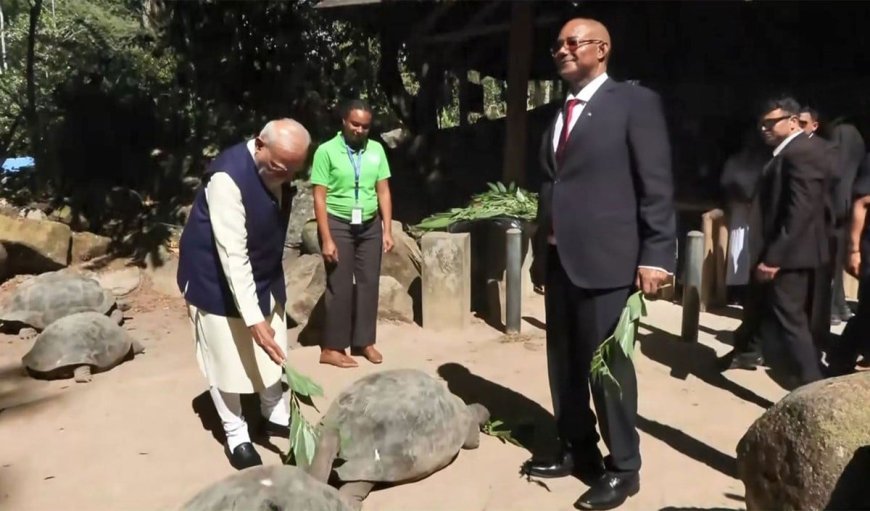 Seychelles दौरे पर PM Modi का खास अंदाज, 194 साल के कछुए Jonathan को अपने हाथों से खिलाया खाना