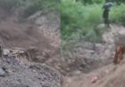 Kashmir Cloudburst : अनंतनाग में बादल फटने से मची तबाही, घरों में घुसा पानी; फसलें और सेब के बाग बर्बाद