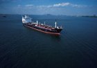 Strait of Hormuz में GFS Galaxy शिप पर अटैक, 10 भारतीय सुरक्षित, 1 लापता, MEA ने जारी किया बयान