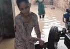 सिरसा के जोड़कियां में घरों में घुसा बारिश का पानी:बाल्टियों से निकालने में जुटी महिलाएं, मकान गिरने का डर, किसानों को राहत