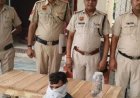 पलवल में भाई ने भाई को अवैध कट्टे संग पकड़वाया:रसोई में छुपाया था देसी कट्टा, पुलिस ने छापेमारी करके किया बरामद