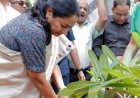 दिल्ली सरकार का लक्ष्य 70 लाख पौधे:जनभागीदारी से बनेगी हरित राजधानी, सीएम बोलीं- हर दिल्लीवासी लगाए एक पौधा