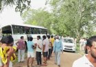 रेवाड़ी में पेड़ से टकराई प्राइवेट बस:पूर्व सैनिक की मौत, 11 घायल; 30 सवारियों से भरी बस कोसली जा रही थी
