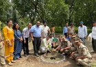 उत्तराखंड के लोक पर्व हरेला के अवसर पर विधायक शिव अरोरा ने टांडा रेंज मे वन अधिकारियो संग किया वृक्षारोपण*