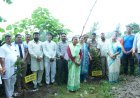 हरेला पर सेवा संकल्प फाउंडेशन का हरित संकल्प: गीता धामी के निर्देशन में वृक्षारोपण एवं पौध वितरण कार्यक्रम आयोजित*