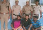 नूंह पुलिस ने मक्त कराई 16 गाय:तीन गोतस्कर गिरफ्तार, कैंटर में भरकर ला रहे थे, दो कनार्टक के रहने वाले
