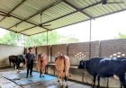 योगी सरकार की योजना से बदली किस्मत, डेयरी से सालाना हो रही 20 लाख की कमाई