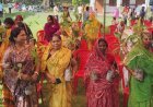 हरेला पखवाड़े के अंतर्गत सेवा संकल्प फाउंडेशन का हरित संकल्प: गीता धामी के निर्देशन में वृक्षारोपण एवं पौध वितरण कार्यक्रम आयोजित*