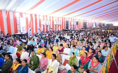 सेवा पखवाड़ा प्रभावी बनाने के लिए भाजपा ने लोकसभा एवं ब्लॉक स्तर पर सौंपी जिम्मेदारी*