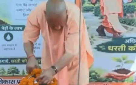 ताल रिंग रोड पर रोपे गए 500 पौधे:CM योगी ने मौलश्री का पौधा रोपा; बोले-वनों से ही नदियां रहेंगी सदानीरा