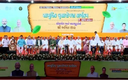 Gujarat : अमित शाह एक दिवसीय अहमदाबाद दौरे पर, 'मिशन फाइव मिलियन ट्री' अभियान का करेंगे शुभारंभ