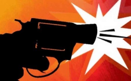 टोरंटो स्ट्रीट फेस्टिवल के पास गोलीबारी, 2 लोगों की मौत, कई घायल, हमलावर की तलाश जारी