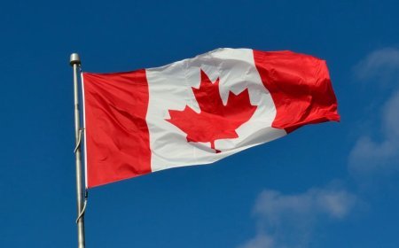 Toronto Shooting: कनाडा के मशहूर Salsa Festival में फायरिंग की घटना, 2 लोगों की मौत से मातम में बदला जश्न