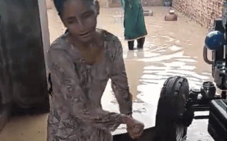 सिरसा के जोड़कियां में घरों में घुसा बारिश का पानी:बाल्टियों से निकालने में जुटी महिलाएं, मकान गिरने का डर, किसानों को राहत