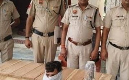 पलवल में भाई ने भाई को अवैध कट्टे संग पकड़वाया:रसोई में छुपाया था देसी कट्टा, पुलिस ने छापेमारी करके किया बरामद