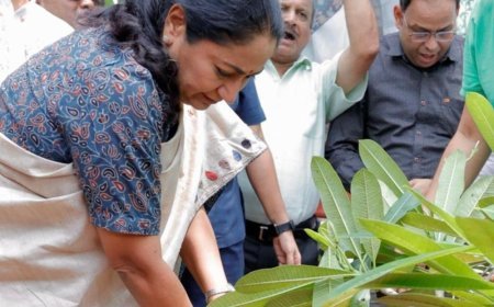 दिल्ली सरकार का लक्ष्य 70 लाख पौधे:जनभागीदारी से बनेगी हरित राजधानी, सीएम बोलीं- हर दिल्लीवासी लगाए एक पौधा