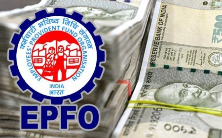 EPFO का बड़ा अपडेट, नौकरी बदलने पर अब 2 तरीकों से करें PF ट्रांसफर, मिनटों में होगा पूरा प्रोसेस