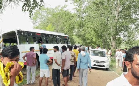 रेवाड़ी में पेड़ से टकराई प्राइवेट बस:पूर्व सैनिक की मौत, 11 घायल; 30 सवारियों से भरी बस कोसली जा रही थी