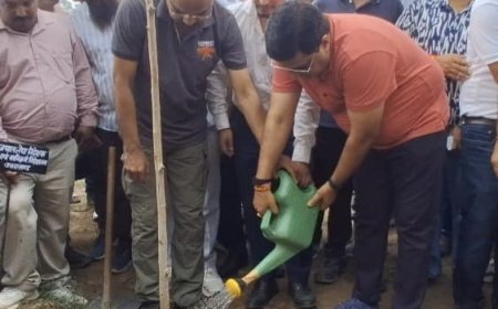खनन विभाग की अनूठी पहल 22  हेक्टर वन भूमि में होगी संजीवनी वन की स्थापना ।