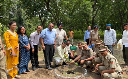 उत्तराखंड के लोक पर्व हरेला के अवसर पर विधायक शिव अरोरा ने टांडा रेंज मे वन अधिकारियो संग किया वृक्षारोपण*