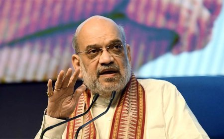 Bangladeshi और Rohingyas की उलटी गिनती शुरू, कई राज्यों में Police और ED की रेड, स्थिति का जायजा लेने Bengal Border पर Amit Shah