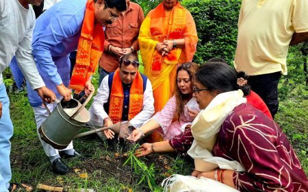 एक पेड़ माँ के नाम” अभियान मातृ सम्मान और पर्यावरण संरक्षण का अनूठा संगम : कुंदन परिहार