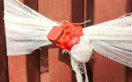 गुरुग्राम नगर निगम ने सील किए 9 निर्माणाधीन भवन:आयुध डिपो के प्रतिबंधित क्षेत्र में बनाए जा रहे, नहीं ली गई थी कोई अनुमति