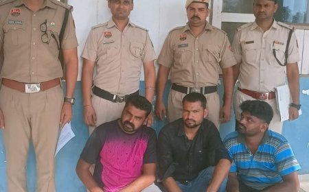 नूंह पुलिस ने मक्त कराई 16 गाय:तीन गोतस्कर गिरफ्तार, कैंटर में भरकर ला रहे थे, दो कनार्टक के रहने वाले