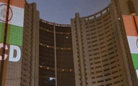 दिल्ली में एमसीडी ने 17 आवारा मवेशी पकड़े:3 जोन की टीमों ने संयुक्त रूप से चलाया अभियान, सड़कों पर आवारा पशुओं से होने वाले हादसों को रोकना मकसद
