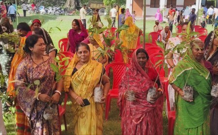 हरेला पखवाड़े के अंतर्गत सेवा संकल्प फाउंडेशन का हरित संकल्प: गीता धामी के निर्देशन में वृक्षारोपण एवं पौध वितरण कार्यक्रम आयोजित*