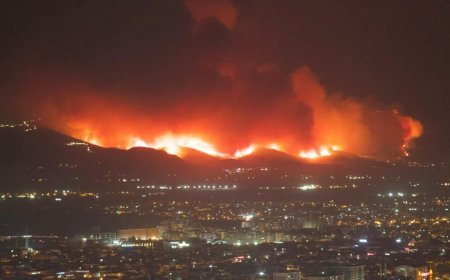 Spain Fire Crisis: 70 हजार लोगों ने छोड़ा घर, Madrid में धुएं का गुबार, प्रशासन ने जारी किया Emergency Alert