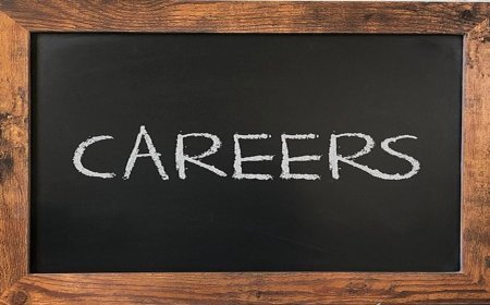 Graduation के बाद क्या करें? BA छात्रों के लिए LLB और BEd समेत ये हैं बेस्ट Top Career Options