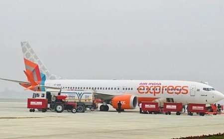 Indigo के दबदबे के बीच पिछड़ती Air India, Tata Group के सामने Market Share बचाने की बड़ी चुनौती
