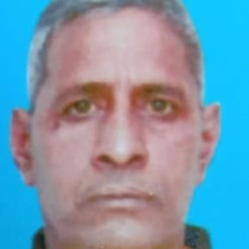 नारनौल में गाड़ी की टक्कर से व्यक्ति की मौत:राजस्थान की सीमा पर हुआ एक्सीडेंट, दिल्ली में डेयरी फार्म पर करता था नौकरी