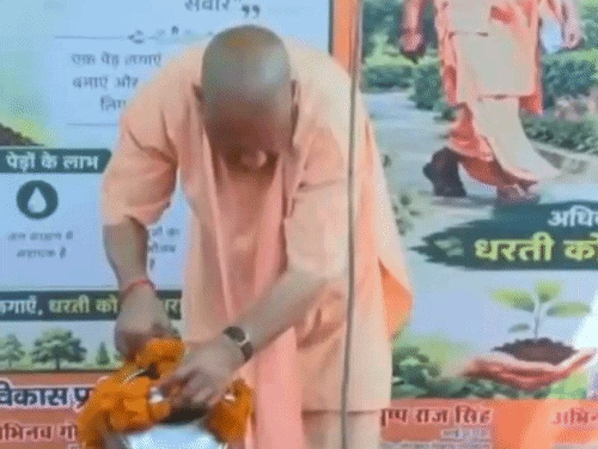 ताल रिंग रोड पर रोपे गए 500 पौधे:CM योगी ने मौलश्री का पौधा रोपा; बोले-वनों से ही नदियां रहेंगी सदानीरा